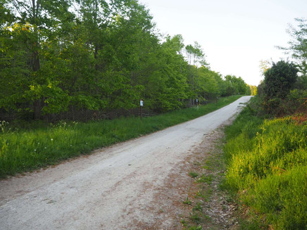 Infotafeln - ca. auf dem Mitte des Wanderweges