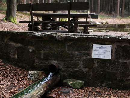 Schwarzaquelle bei Scheibe-Alsbach