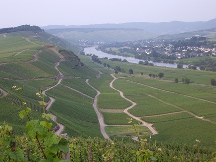 Berühmte Mosel-Weinlage: Brauneberger Juffer