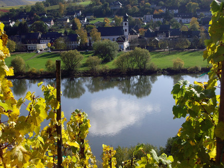 Blick auf die Mosel und die Simultankirche Brauneberg