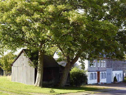 Idylle im Wanderurlaub: Oberkleinich