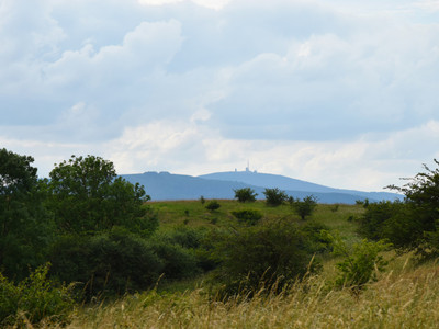 Mountain meadow with a view of the Brocken above the Schornsteinberg