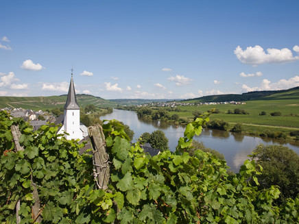 Blick auf die Weinberge und Kesten