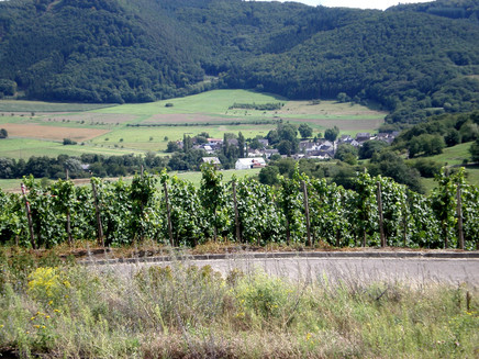 Aussicht in den Hunsrück