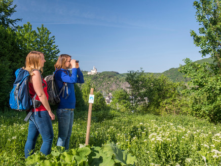 View of the Marksburg