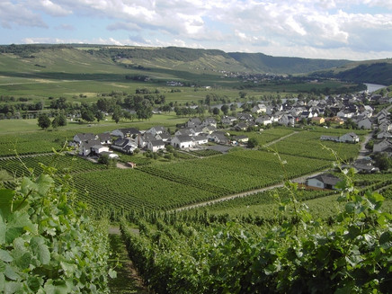 Blick auf Kesten an der Mosel