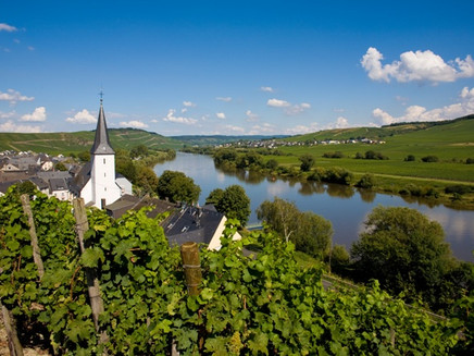 Blick durch die Weinberge auf Kesten