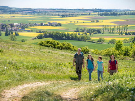 Eifel landscape near the locust trees