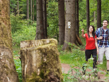 Wanderer unterwegs auf dem Rennsteig