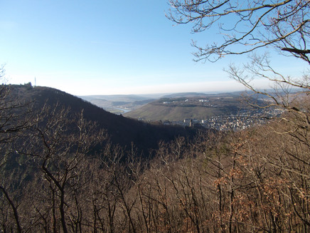 View of the town Bernkastel-Kues and the Kueser Plateau
