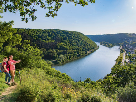Mosel panorama