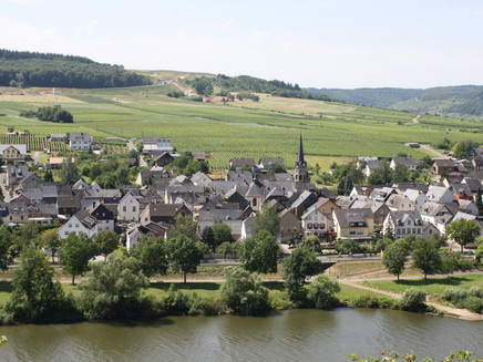 View of the wine village Erden