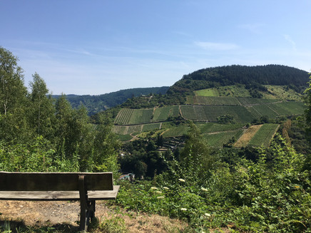 Blick auf die Weinbergslagen Trarbach