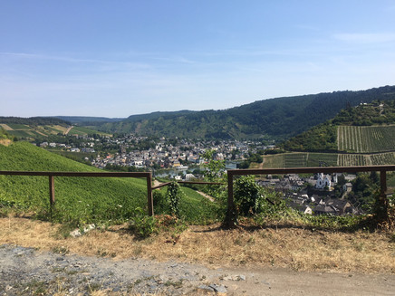 Blick auf Traben-Trarbach