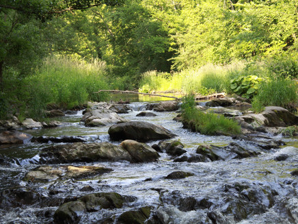 Flussverlauf Lieser_Lieserpfad: Etappe 4: Wittlich-Lieser