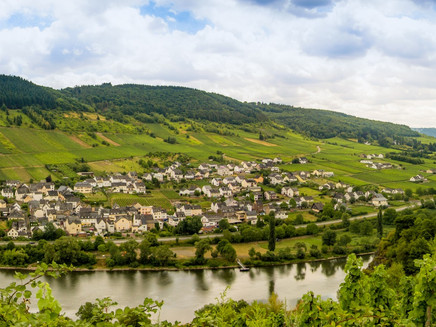 Weinort Burg (Mosel)