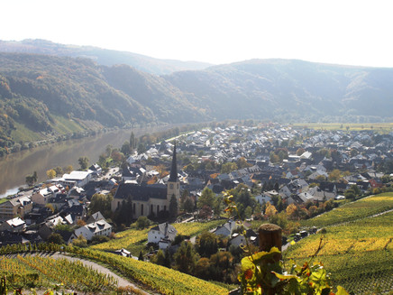 Panorama Kröv