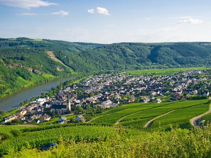 Panorama Kröv