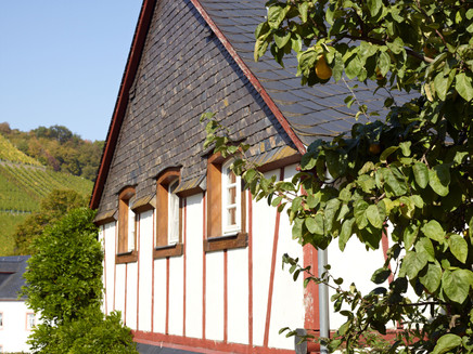 Fachwerk in Burgen