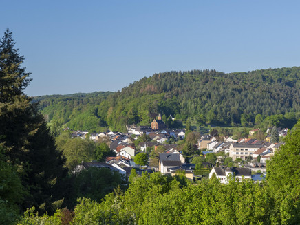 Blick auf Trassem (01)