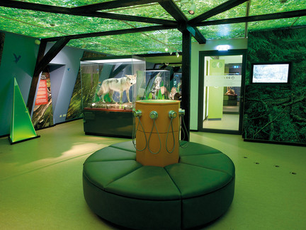 Haus der Natur | Ausstellung