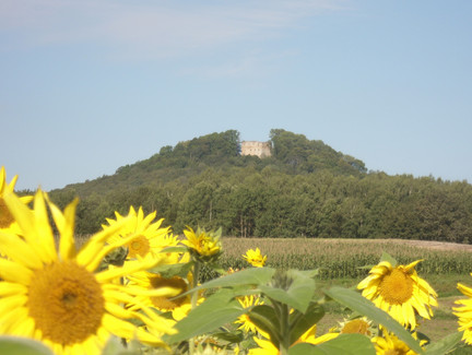 Ruine Strauf bei Straufhain