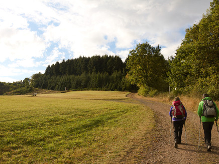 Wunderschöne Wanderwege_Lieserpfad: Etappe 4: Wittlich - Lieser