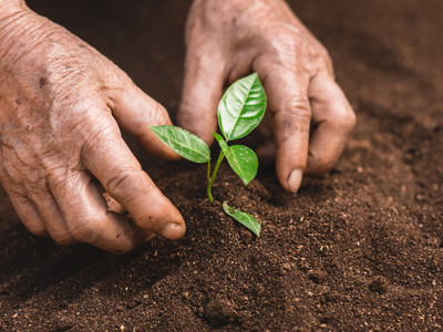 Culture women at work
