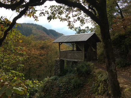 Robertskanzel_Lieserpfad: Etappe 3: Manderscheid - Wittlich