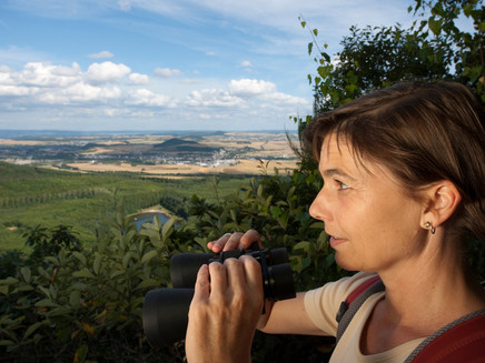 View of the Kruft forest lake