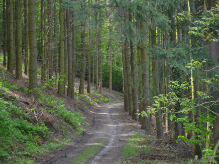 Grafschafter Wanderweg