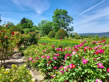 Freilichtmuseum Roscheider Hof Konz (7)