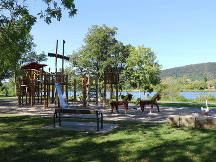 Am Moselufer Konz (1)