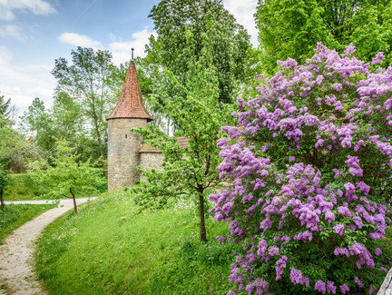 Bad Rodach | Ortsansicht