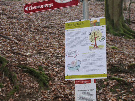 Information board about the tree