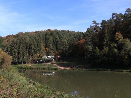 Angelweiher Trassem (3)