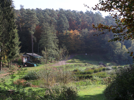 Angelweiher Trassem (4)