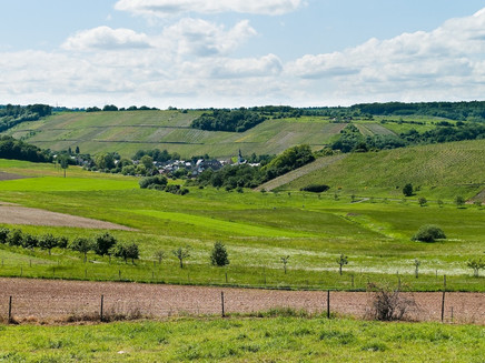 Burgen an der Mittelmosel