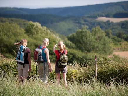 Blick in die Vordereifel
