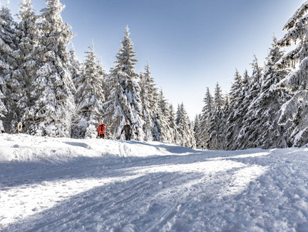 Auf dem Skiwanderweg Rennsteig