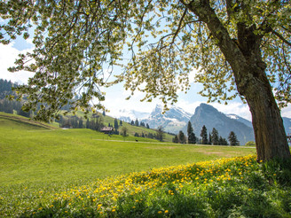 Sicht auf Wiriehorn und Schwarzenberg