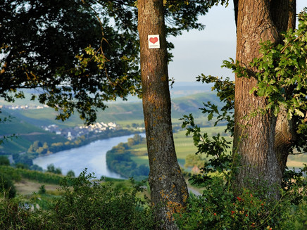 Ausblick entlang der Strecke