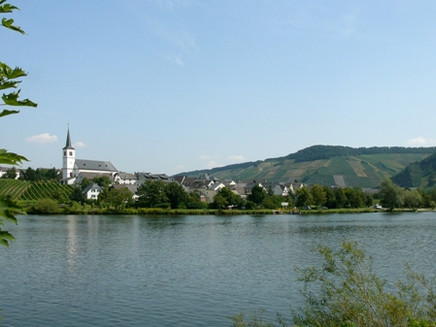 Minheim an der Mosel