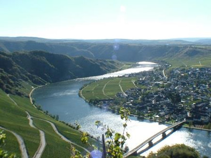Moselloreley