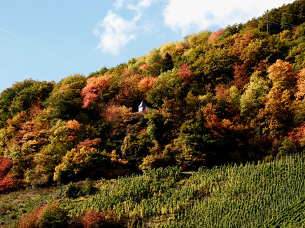 Spoar-Kapelle in den Weinbergen