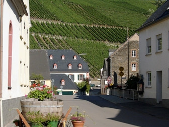 Blick auf die Weinberge