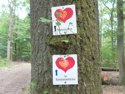 Wegbeschilderung entlang der Strecke