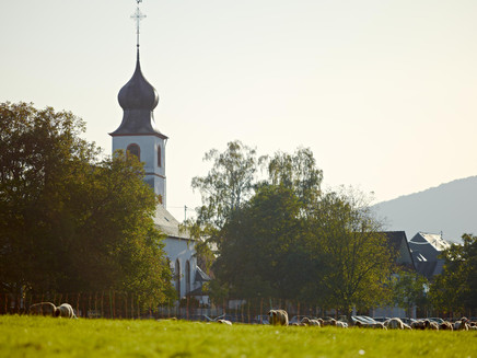 Nussbaumalee Brauneberg