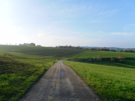 Wiesenweg in der Nähe von Monzelfeld