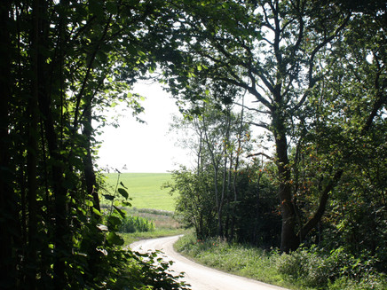 Wald- und Feldweg entlang der Strecke